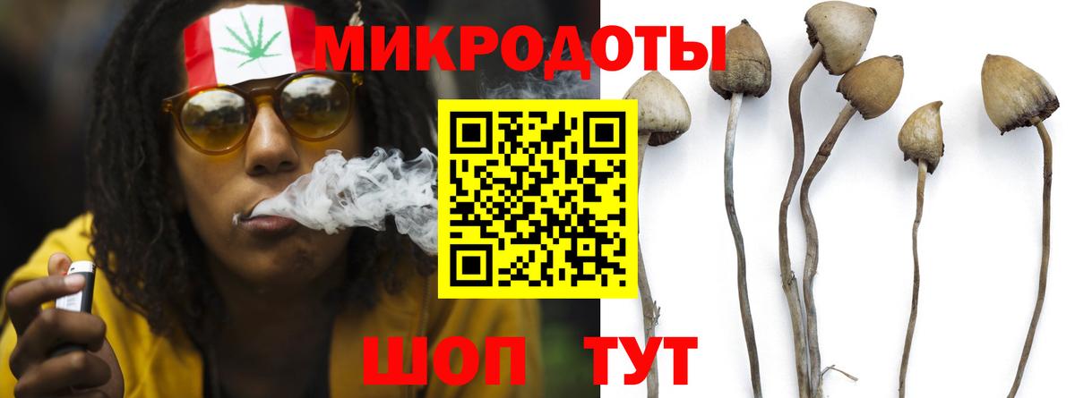 Галлюциногенные грибы Psilocybe  Вход с VPN  Вятские Поляны 